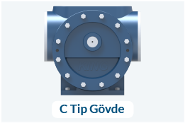 Dev İntegral WEB